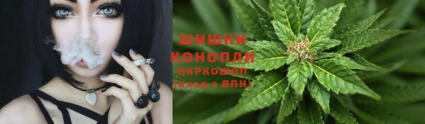 прущие крисы Балахна