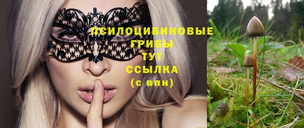 прущие крисы Балахна